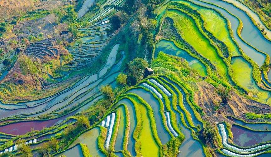 宝妈必备神器：称多县产品视频拍摄轻松育儿好帮手