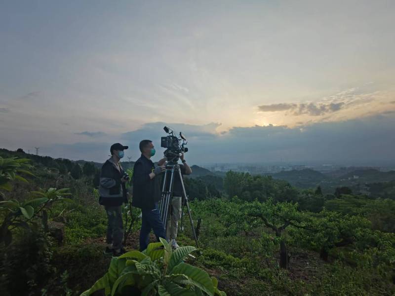 创意破圈！称多县电商产品宣传视频用故事化叙事引爆流量