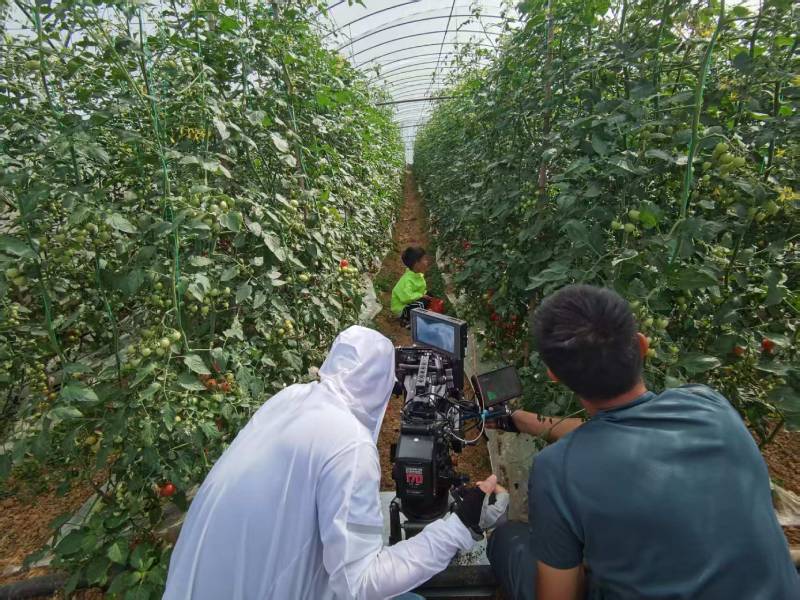 称多县产品宣传视频拍摄公司进阶指南，助力品牌抢占传播高地